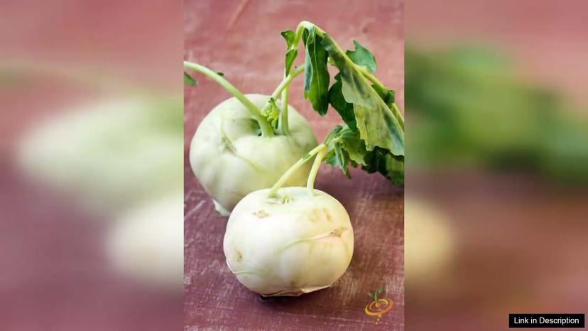 Kohlrabi Delicatesse White – Seeds Review