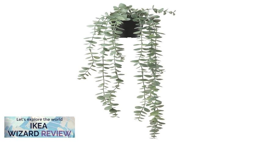 FEJKA IKEA Artificial potted plant indoor/outdoor hanging/eucalyptus Review