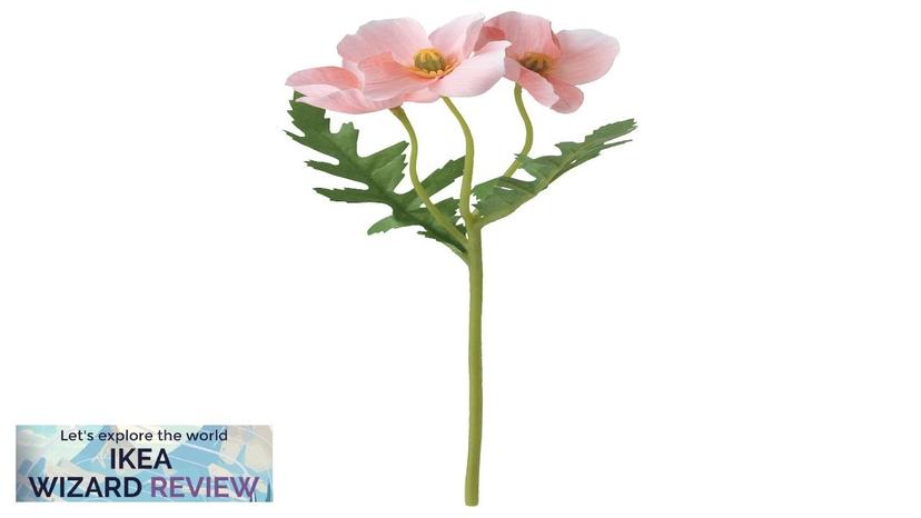 SMYCKA IKEA Artificial flower indoor/outdoor/Poppy pink Review