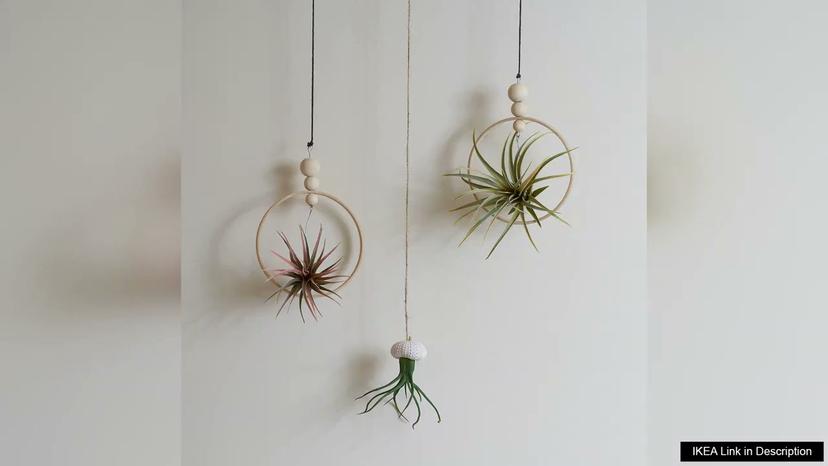 FEJKA IKEA Artificial plant set of 3 air plant Review