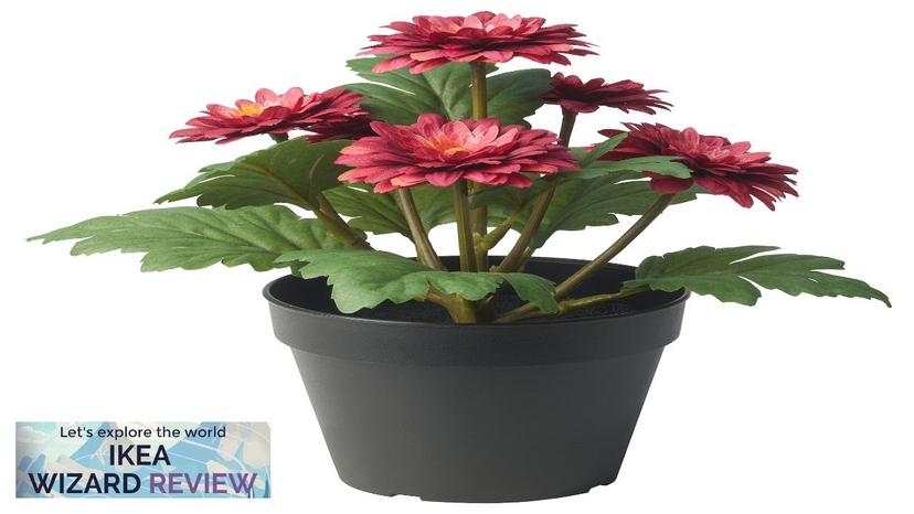 FEJKA IKEA Artificial potted plant indoor/outdoor Chrysanthemums Review