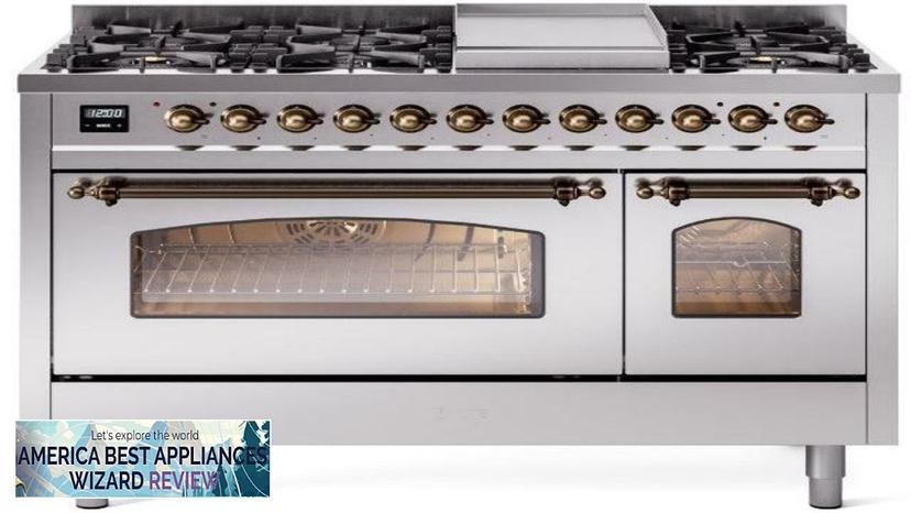 Nostalgie II 48" Dual Fuel Natural Gas Freestanding Range in Stainless Steel Review