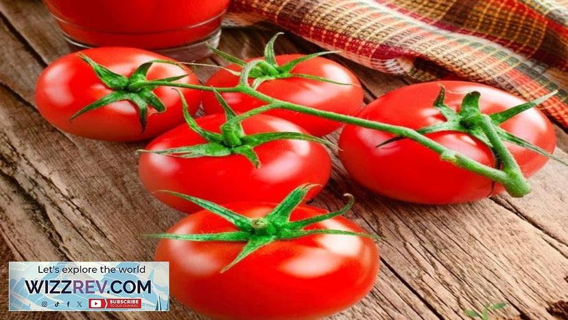 Tomato Bonny Best (Indeterminate) – Seeds Review