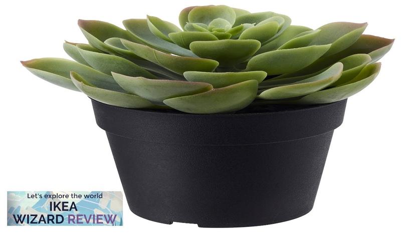 FEJKA IKEA Artificial potted plant indoor/outdoor Succulent Review