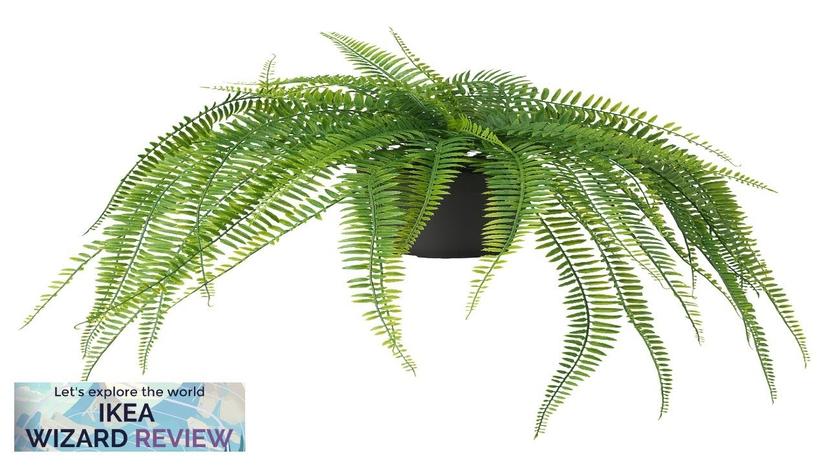 FEJKA IKEA Artificial potted plant indoor/outdoor hanging/fern Review