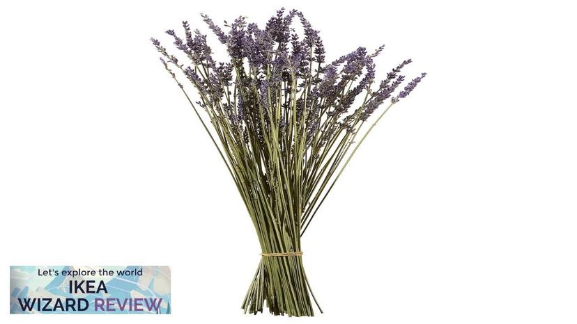 TUNTRÄD IKEA Dried bouquet lavender Review