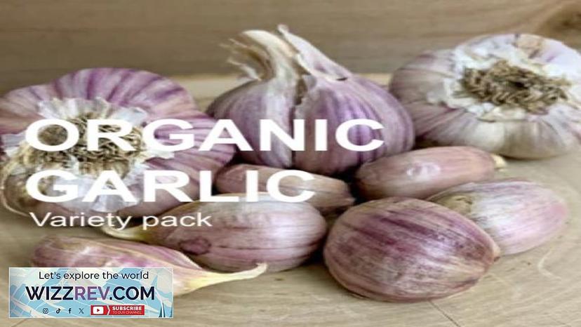 *NEW!* All-in-One Organic Garlic Variety Pack – Seeds Review