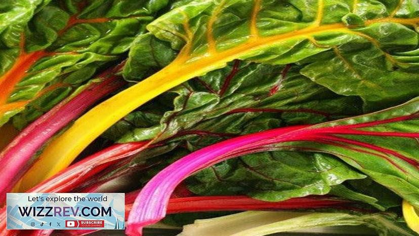 Swiss Chard Rainbow Mix – Seeds Review