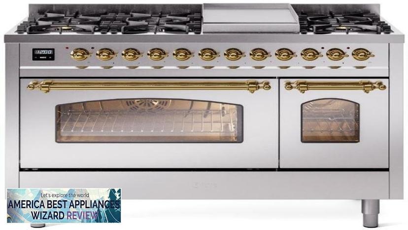 Nostalgie II 48" Dual Fuel Natural Gas Freestanding Range in Stainless Steel Review