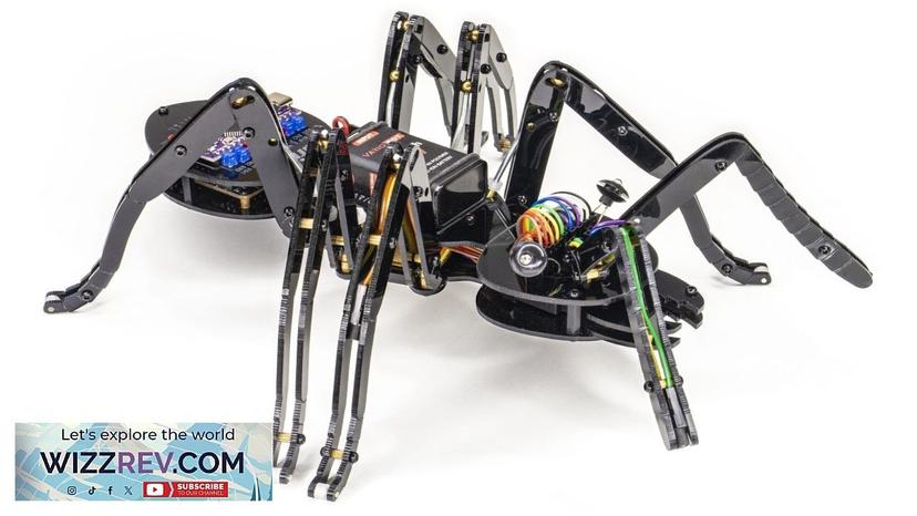 variAnt – Programmable Walking Robot Ant – STEM Robotic Kit Review