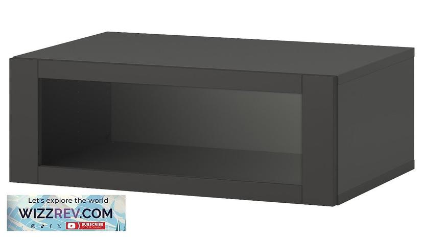 BESTÅ IKEA Shelf unit with door dark gray/Sindvik dark gray Review