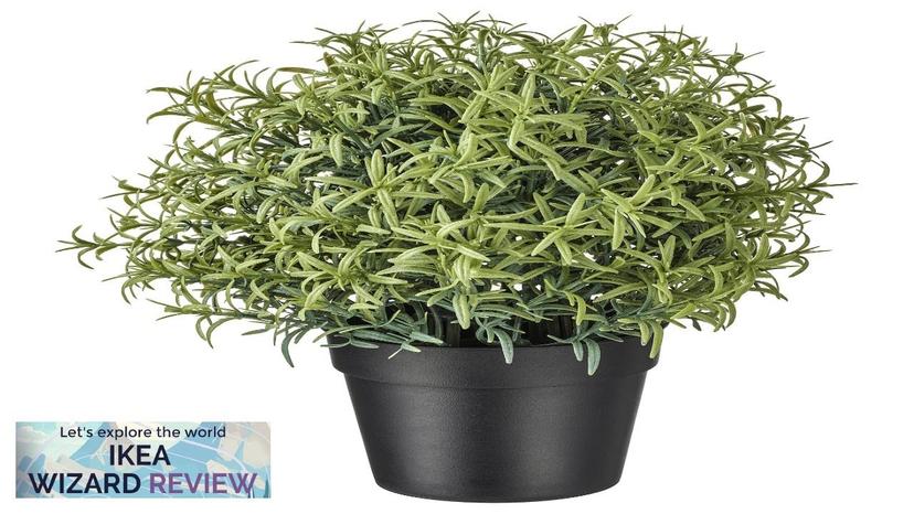 FEJKA IKEA Artificial potted plant Rosemary Review