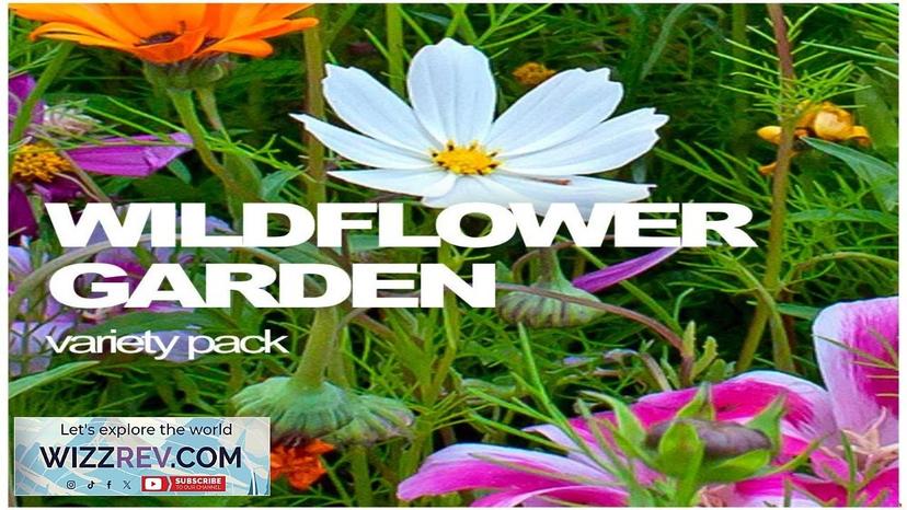 All-in-One Wildflower & Pollinator Scatter Garden Variety Pack / Seeds – Seeds Review