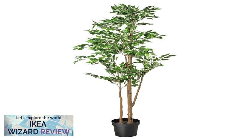 FEJKA IKEA Artificial potted plant indoor/outdoor Weeping fig Review