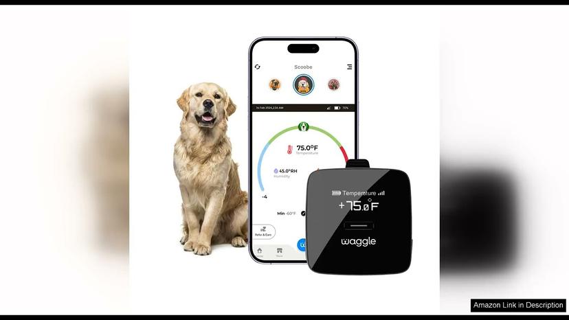 Waggle RV/Dog Safety Temperature & Humidity Sensor Wireless Pet monitoring system Review