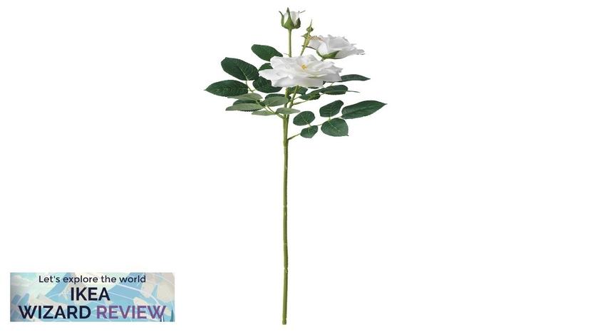 SMYCKA IKEA Artificial flower indoor/outdoor/Rose white Review