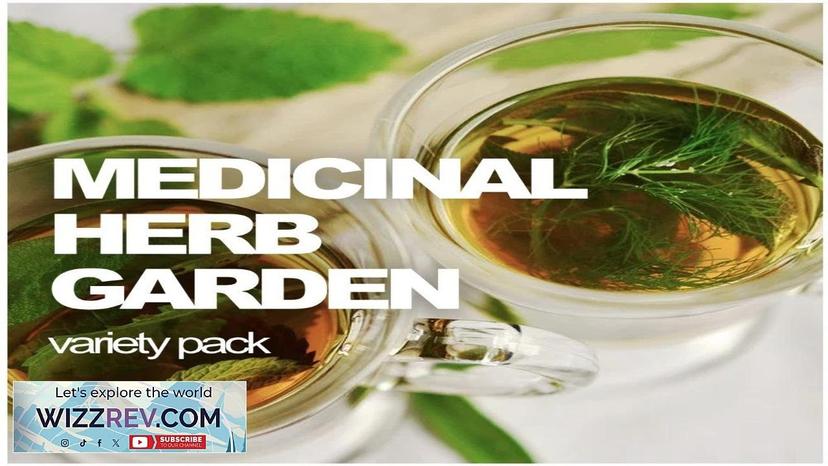 All-in-One Medicinal Herb Garden Variety Pack – Seeds Review