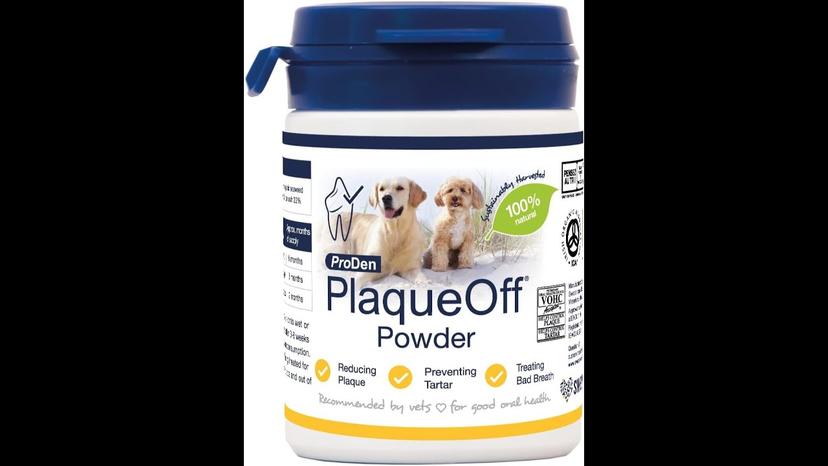 ProDen PlaqueOff Powder Review