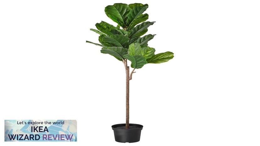 FEJKA IKEA Artificial potted plant indoor/outdoor fiddle-leaf fig Review